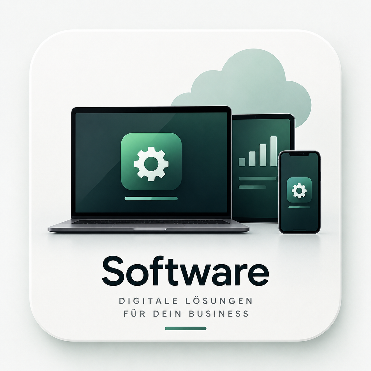 SOFTWARE
